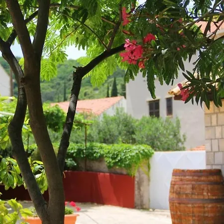 J&j - Classic Twin With Garden View - No.1